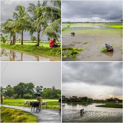 MONSOON AND AGRICULTURE