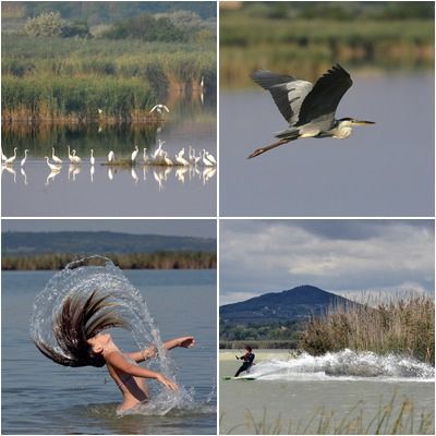 Közös életterünk: a Velencei tó