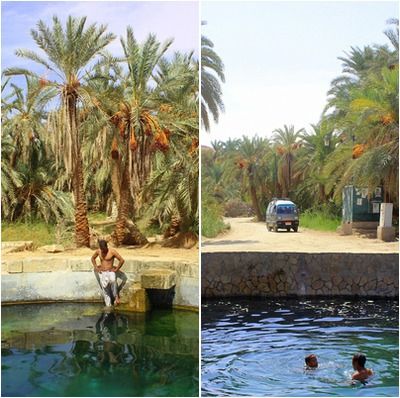 Siwa Oasis water springs